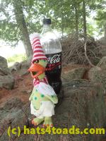 /home//u458753944/public_html/sourcegallery//Chickens/Soda Addiction/P7251227.JPG